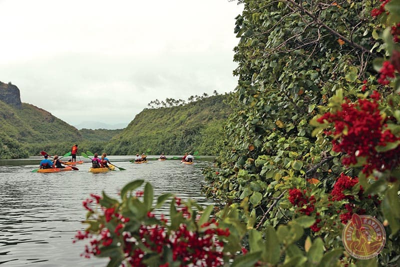 Alii Kayak & Hike Kauai - thumbnail 3