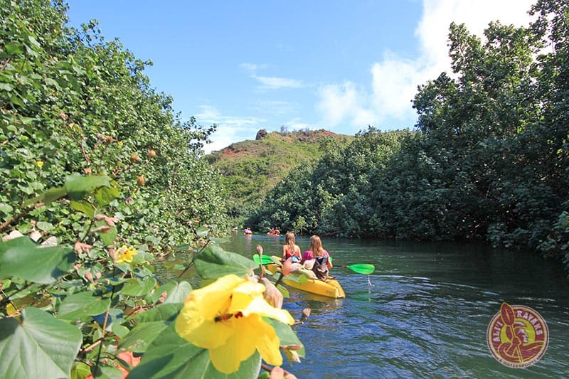 Alii Kayak & Hike Kauai - thumbnail 2