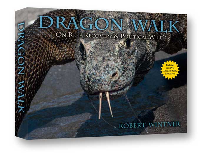 Dragon Walk, The Book & The Movie
