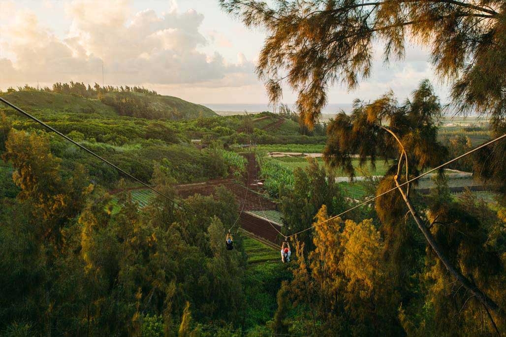 Oahu Zipline - thumbnail 5