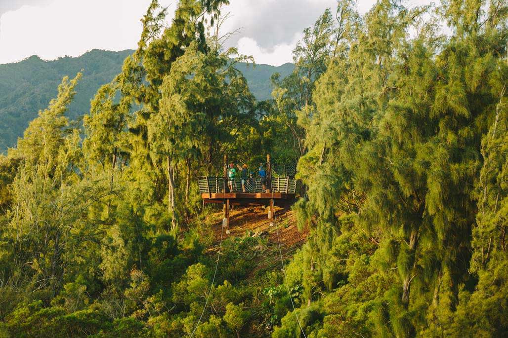 Oahu Zipline - thumbnail 7