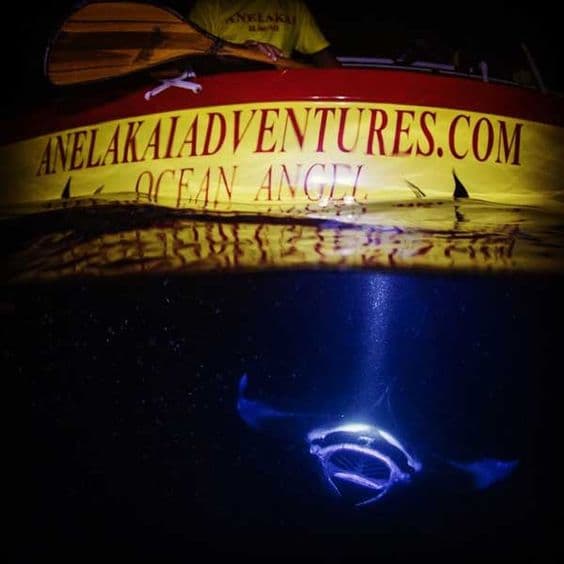 Anelakai Kona Manta Night Snorkel - thumbnail 7