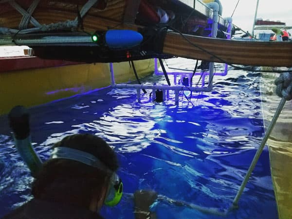 Anelakai Kona Manta Night Snorkel - thumbnail 6