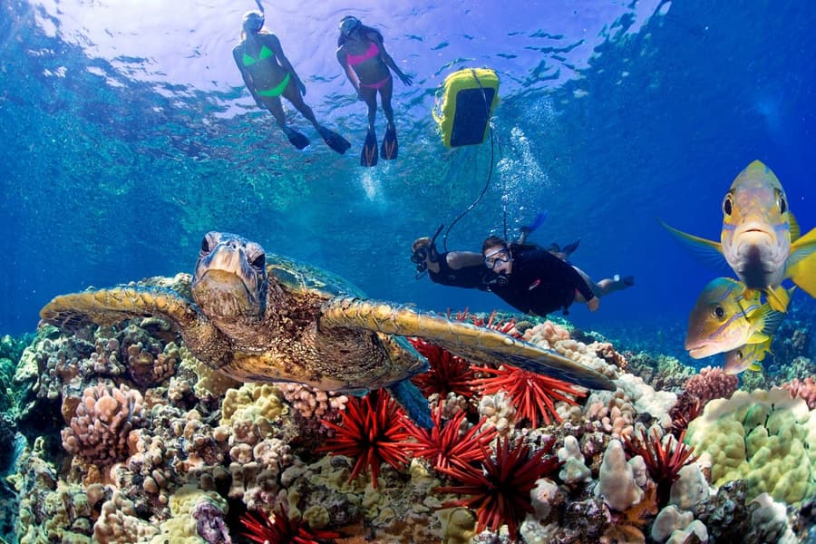 Ali’i Nui Molokini Snorkel Sail - thumbnail 2