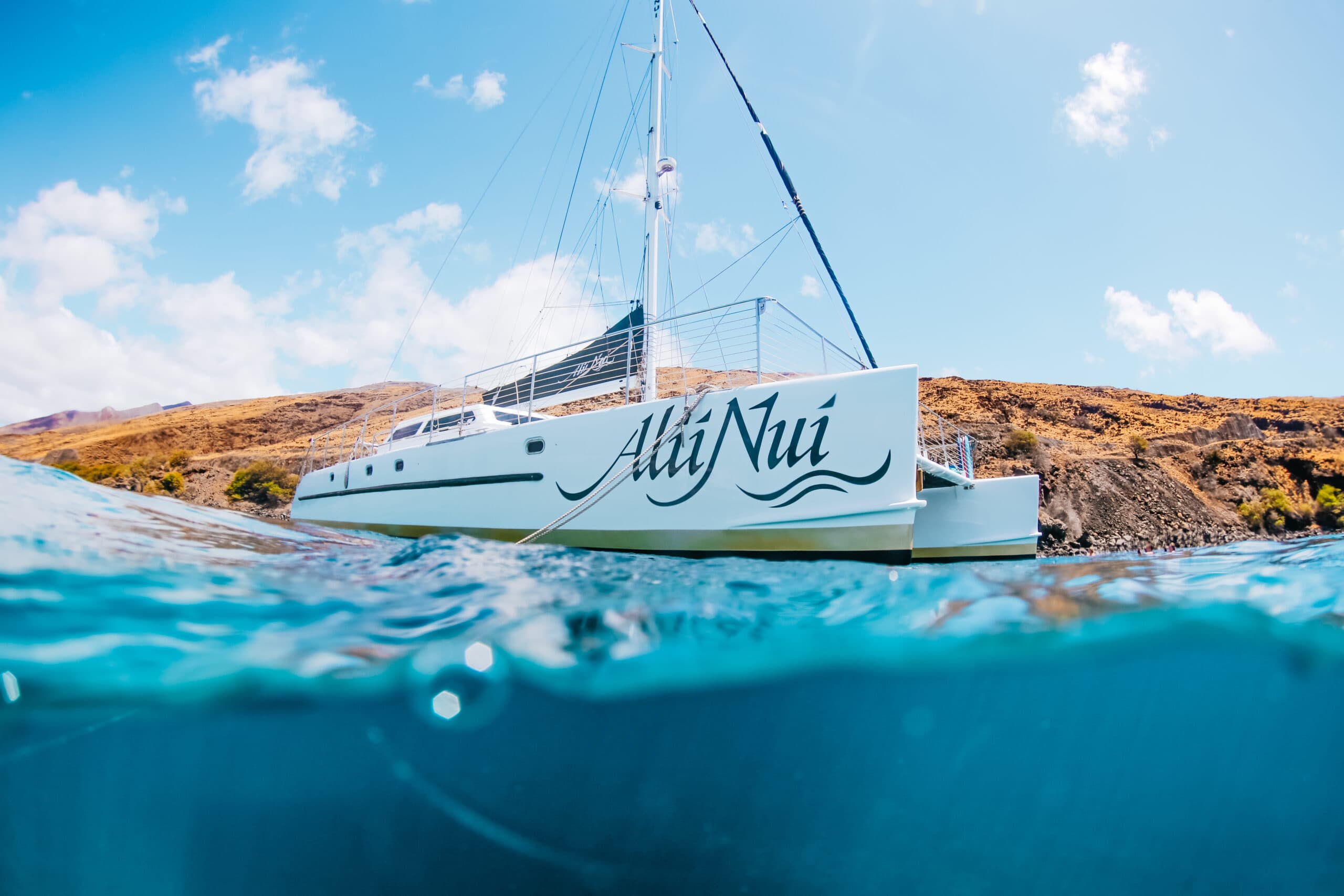 Ali’i Nui Whale Watch - thumbnail 7