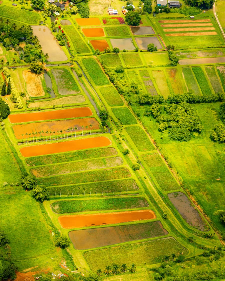 Kauai Helicopter Tours - thumbnail 6
