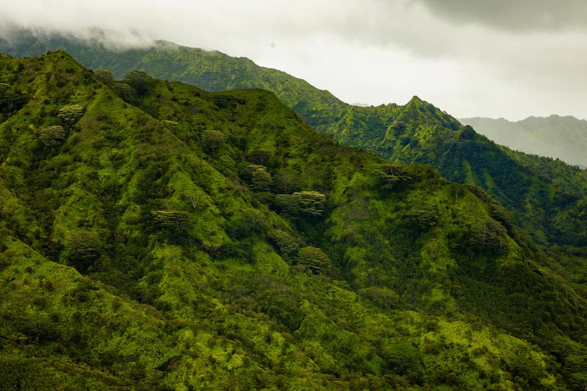 Kauai Helicopter Tours - thumbnail 5