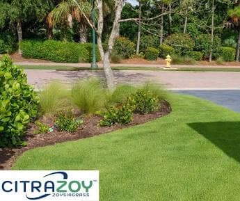 Citra Zoy Turf 400sqft