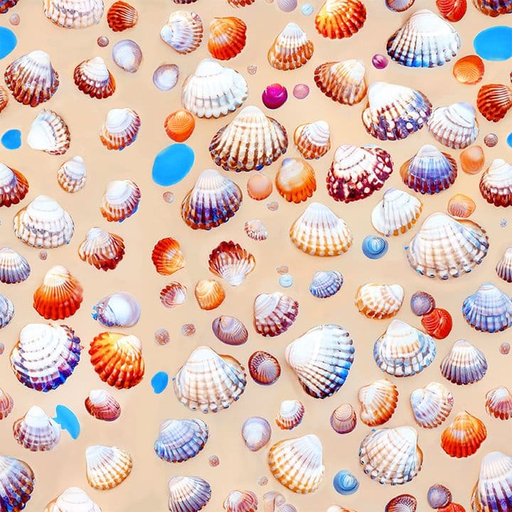 Painted Shell Print