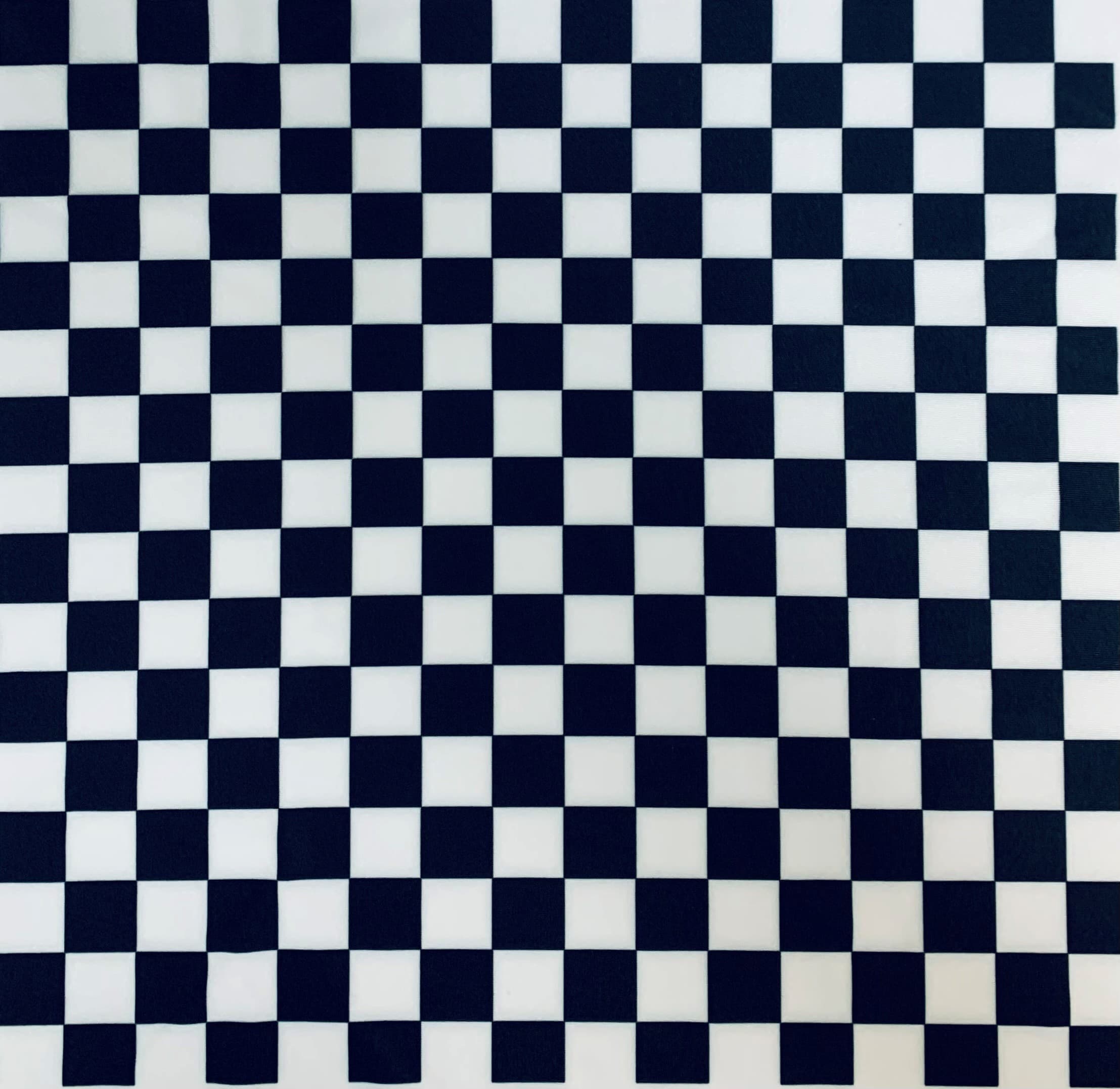 Black and White Checkerboard Print