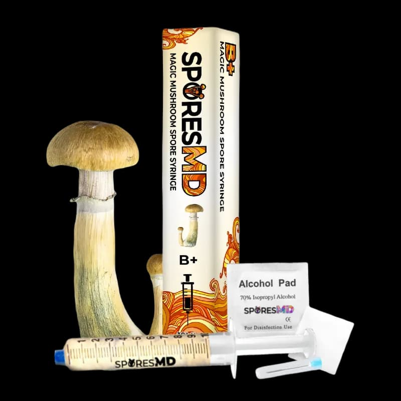 B+ Mushroom Liquid Culture (10ml)