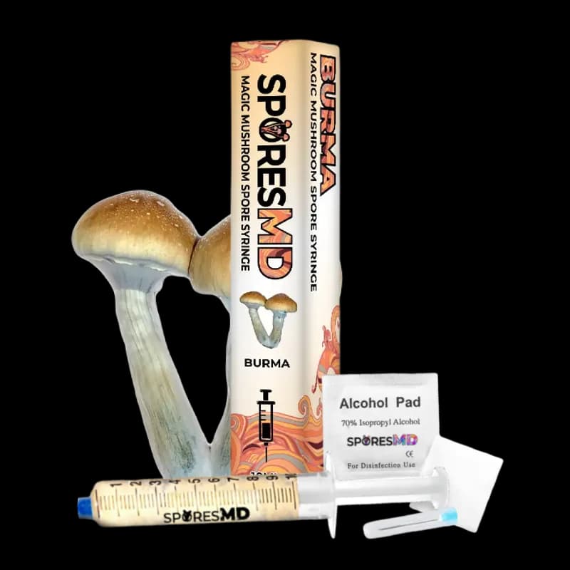 Burma Mushroom Liquid Culture (10ml)