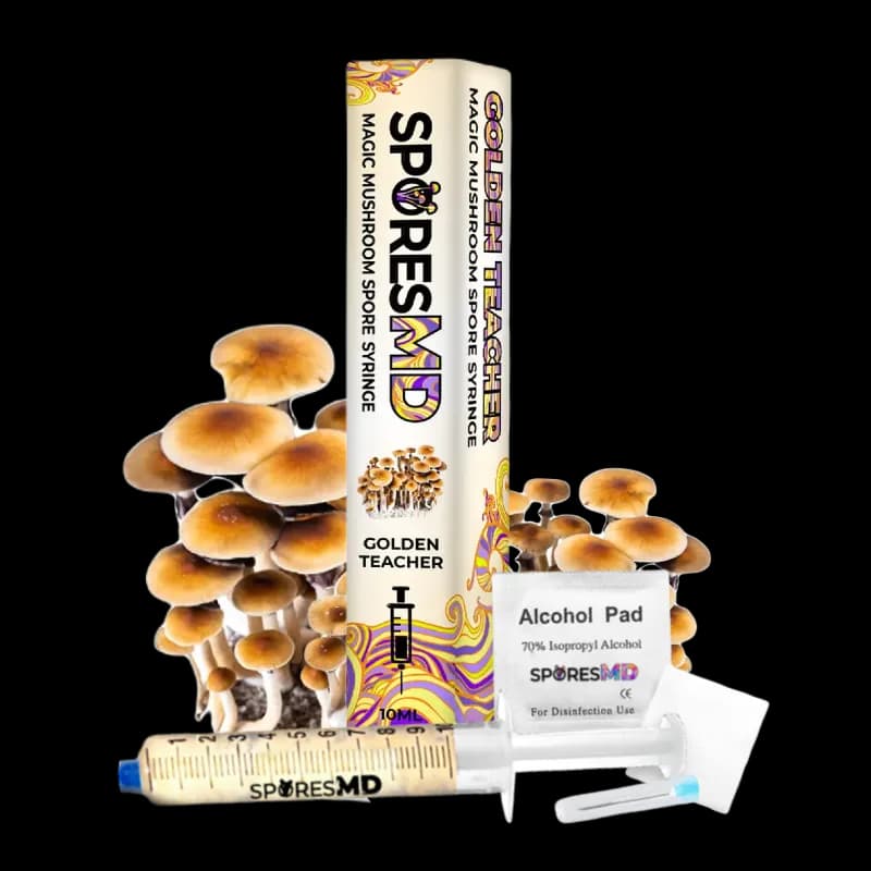 Golden Teacher Mushroom Spores (10ml)