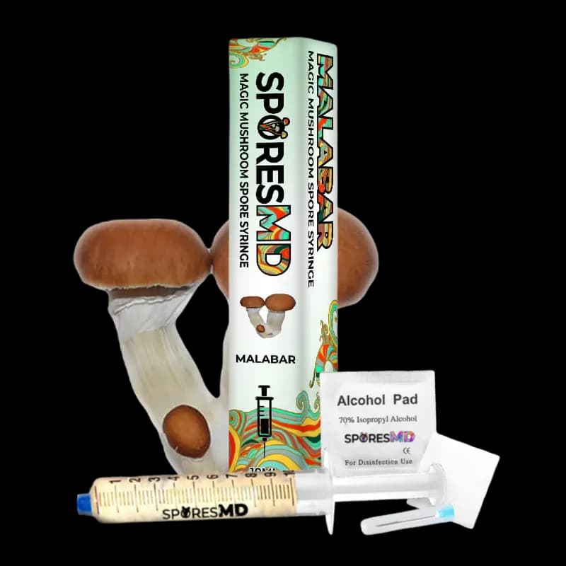 Malabar Mushroom Liquid Culture (10ml)