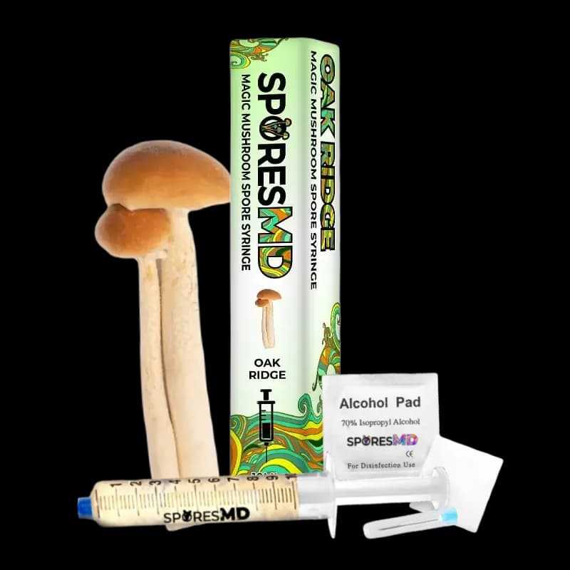Oak Ridge Mushroom Liquid Culture (10ml)