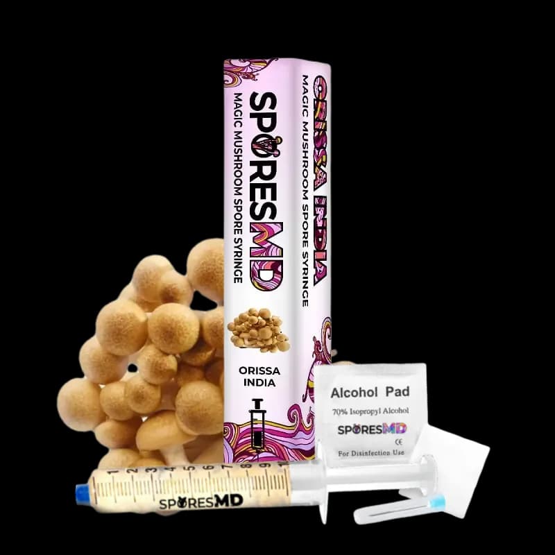 Orissa India Mushroom Liquid Culture (10ml)