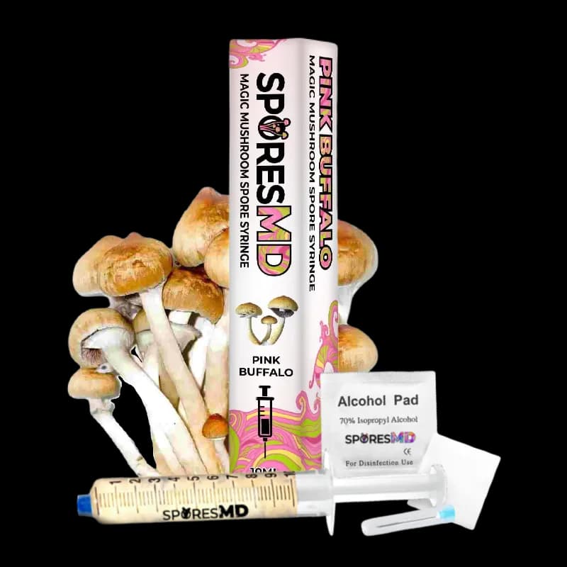 Pink Buffalo Mushroom Liquid Culture (10ml)