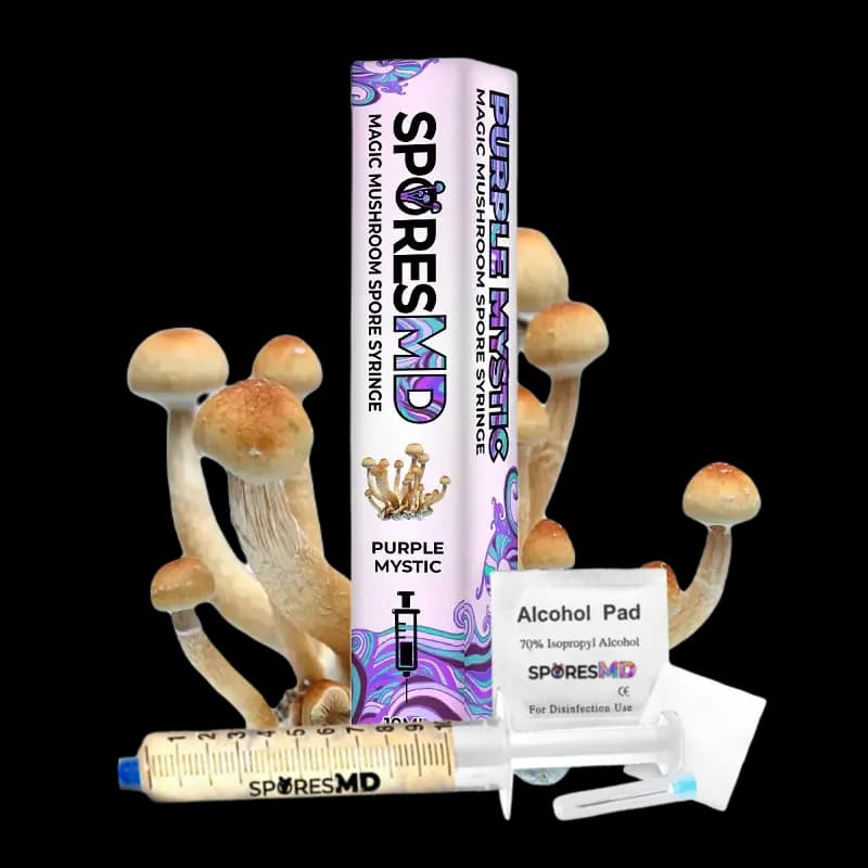 Purple Mystic Mushroom Liquid Culture (10ml)