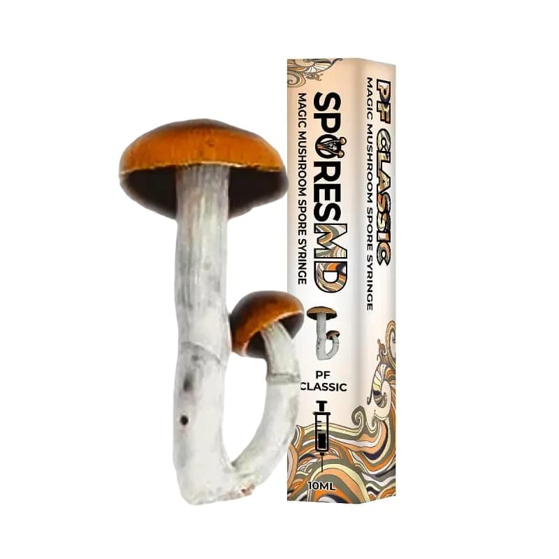 PF Classic Mushroom Liquid Culture (10ml) - thumbnail 5