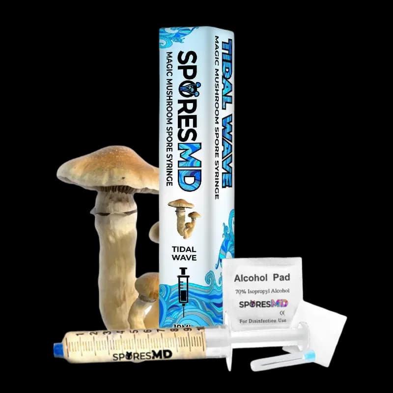 Tidal Wave Mushroom Liquid Culture (10ml)