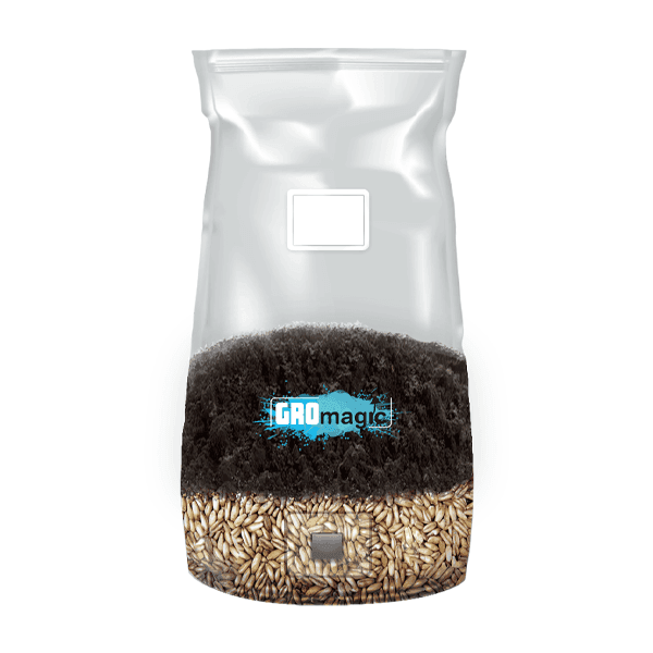 Grow Bag 2lb