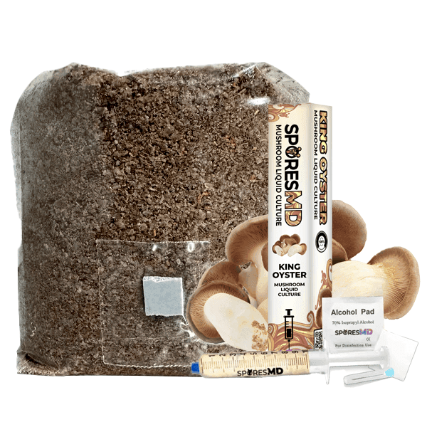 Functional Mushroom Kit – King Oyster