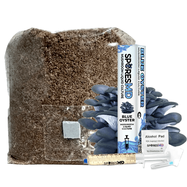 Mushroom Grow Kit – Blue Oyster