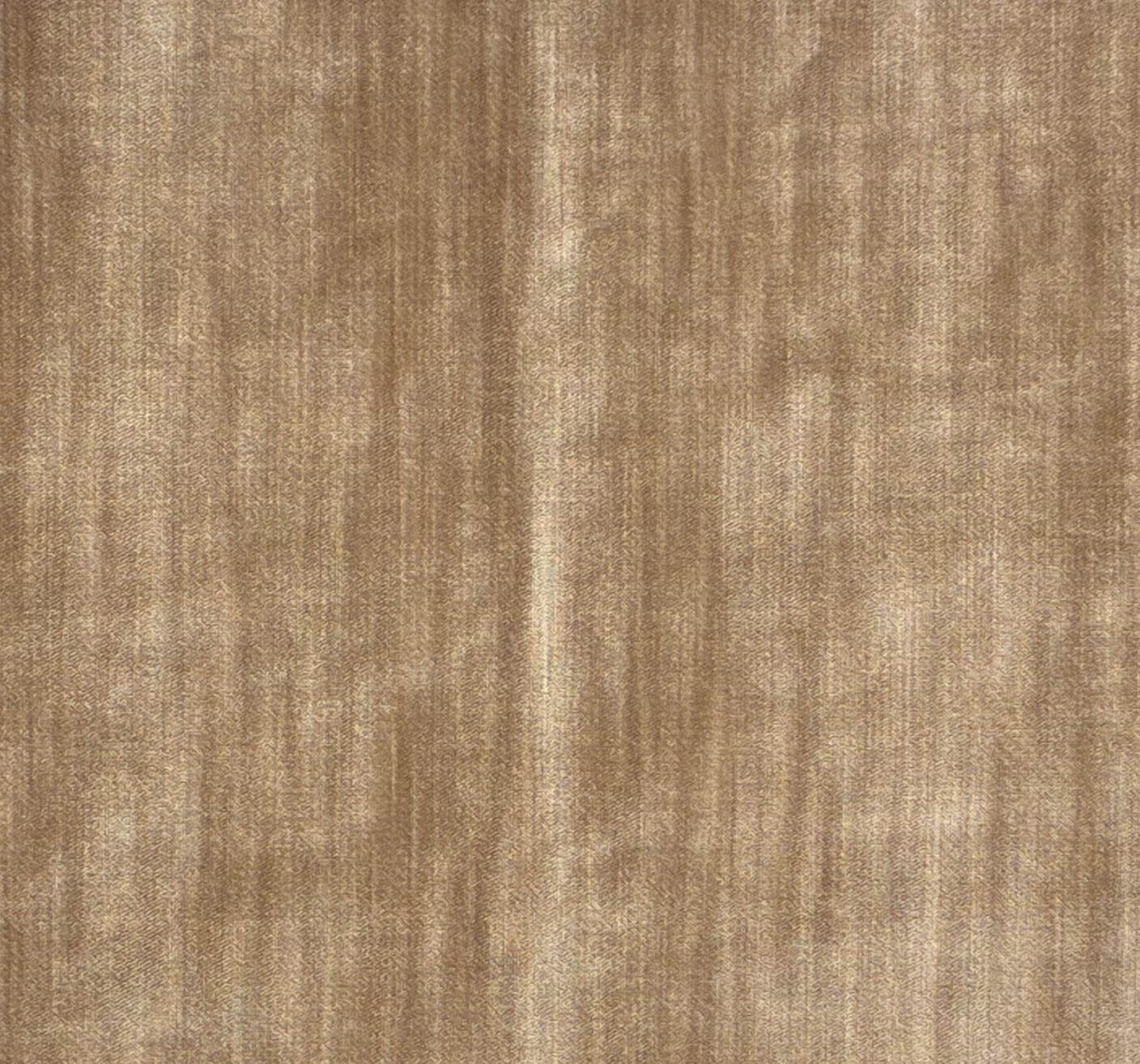 Prince Velvet- Shea (P) - thumbnail 2