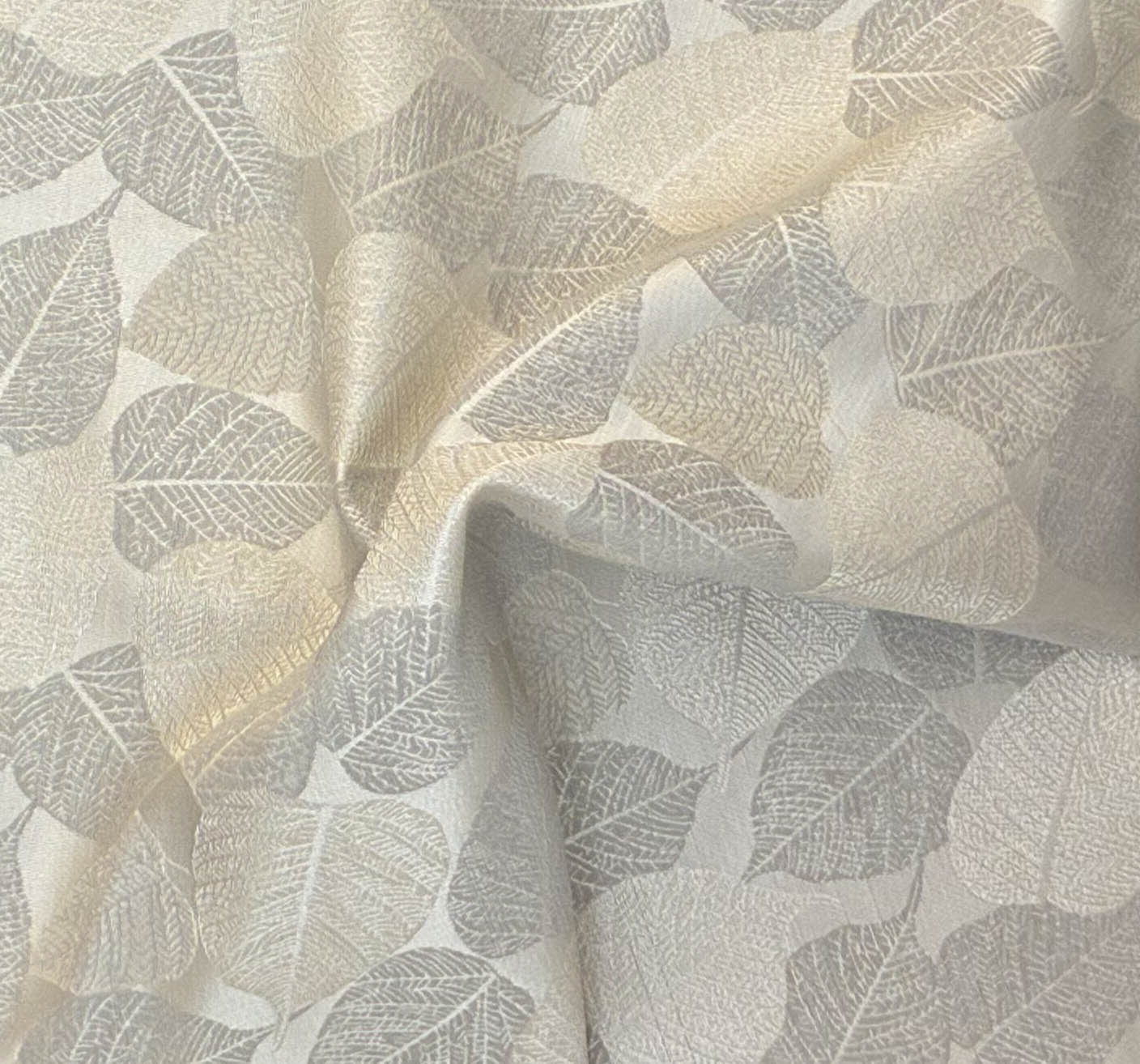 Sycamore 145 (P)