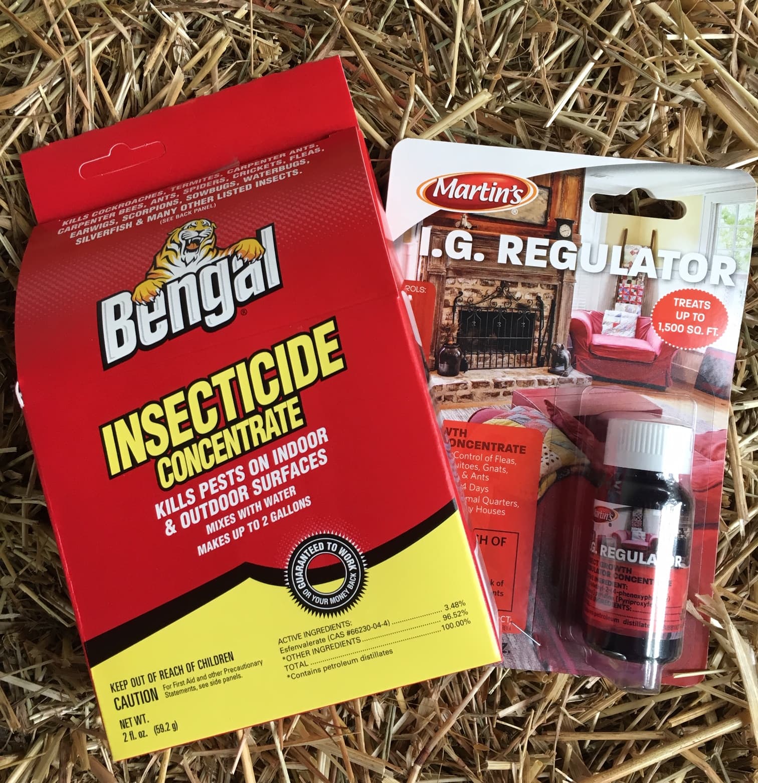 Super-Size Creepy Crawly Combo