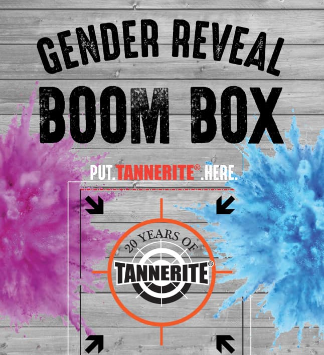 Gender Reveal Boom Box – Pink or Blue Retail