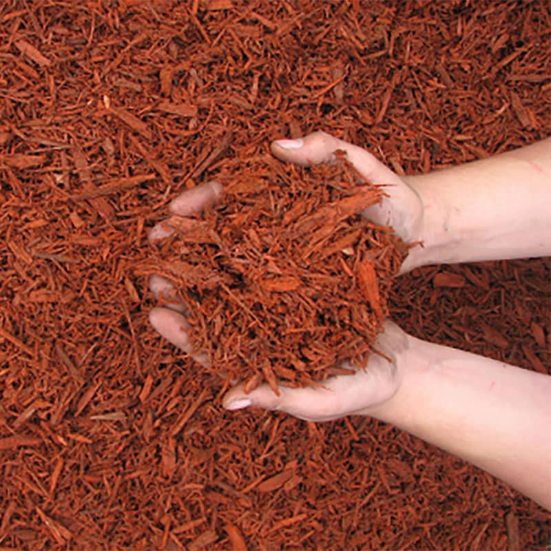 Russet Red Mulch