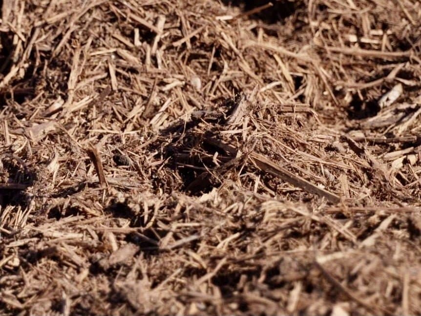 Cedar Mulch – Price / Cubic Yard