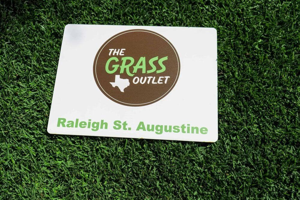 Raleigh St. Augustine - thumbnail 2
