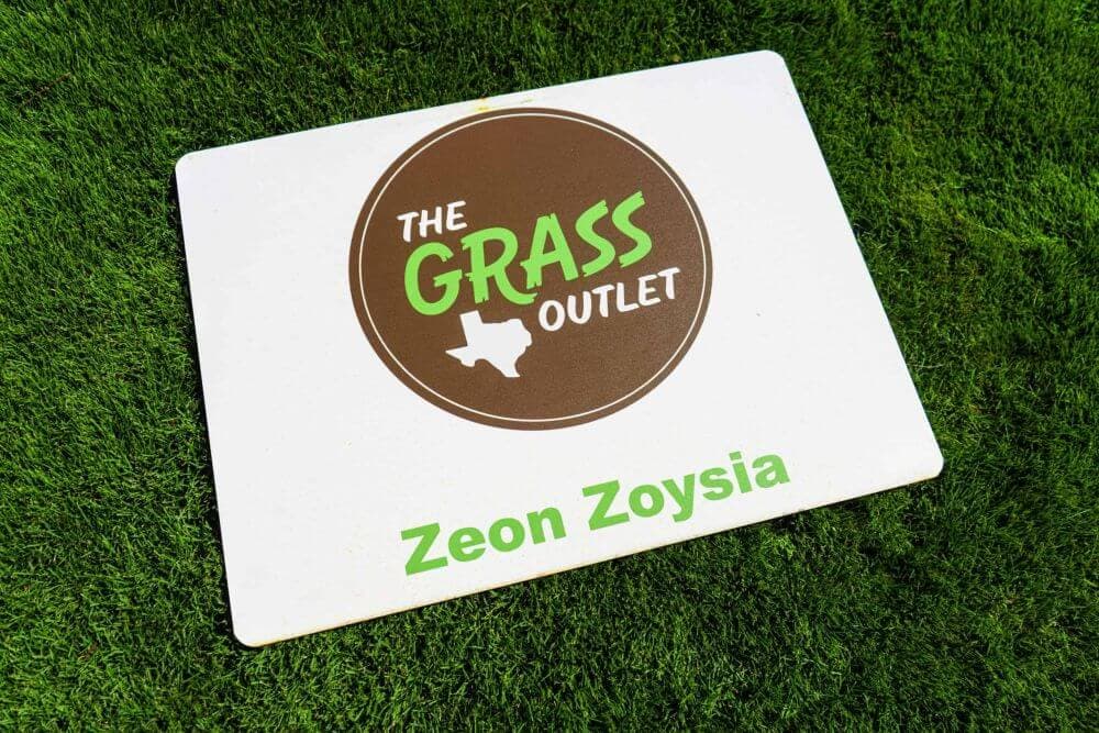 Zeon Zoysia - thumbnail 2