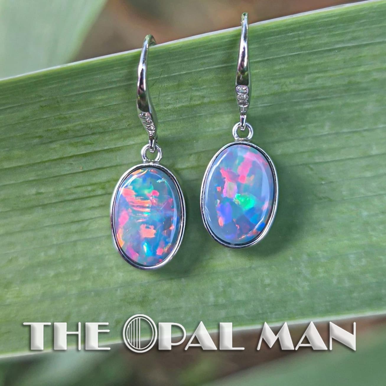 Pastel Glimmer Australian Opal Doublets 14K White Gold Dangle Earrings – 423-00003