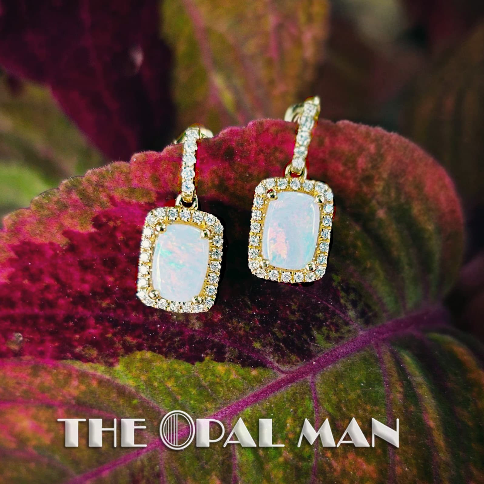 Golden Gleam 14K Yellow Gold Earrings With Australian White Opals – 423-00433