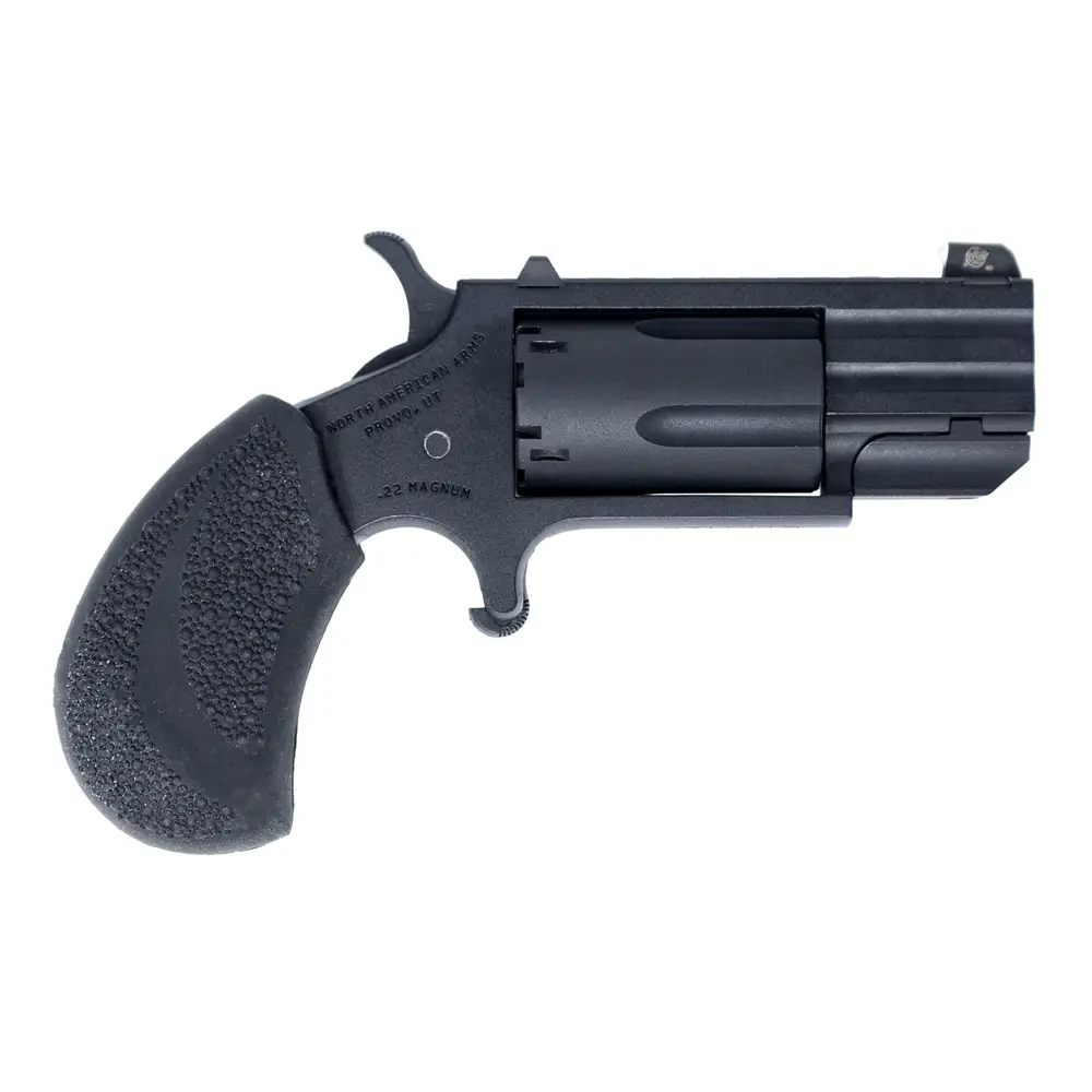 NAA PUG .22 LR / 22 WMR 1” Black 5rd