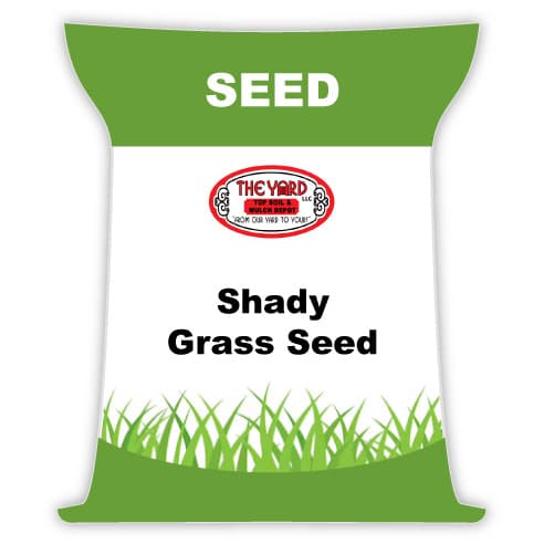 Shady Grass Seed