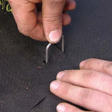 Dewitt Anchoring Pins