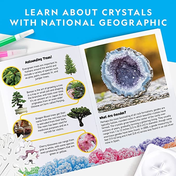 NATIONAL GEOGRAPHIC Crystal Growing Kit - thumbnail 5