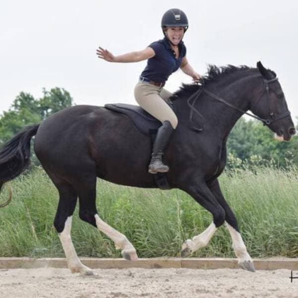 ThinLine Bareback Saddle Pad - thumbnail 5