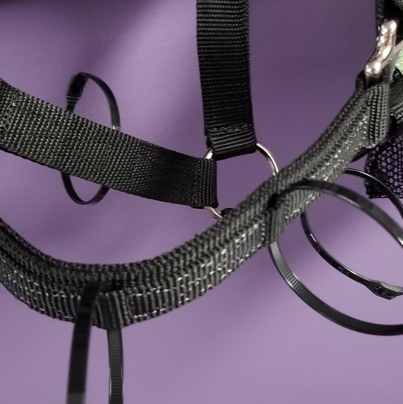 Flexible Filly Muzzle Zip Ties - thumbnail 3