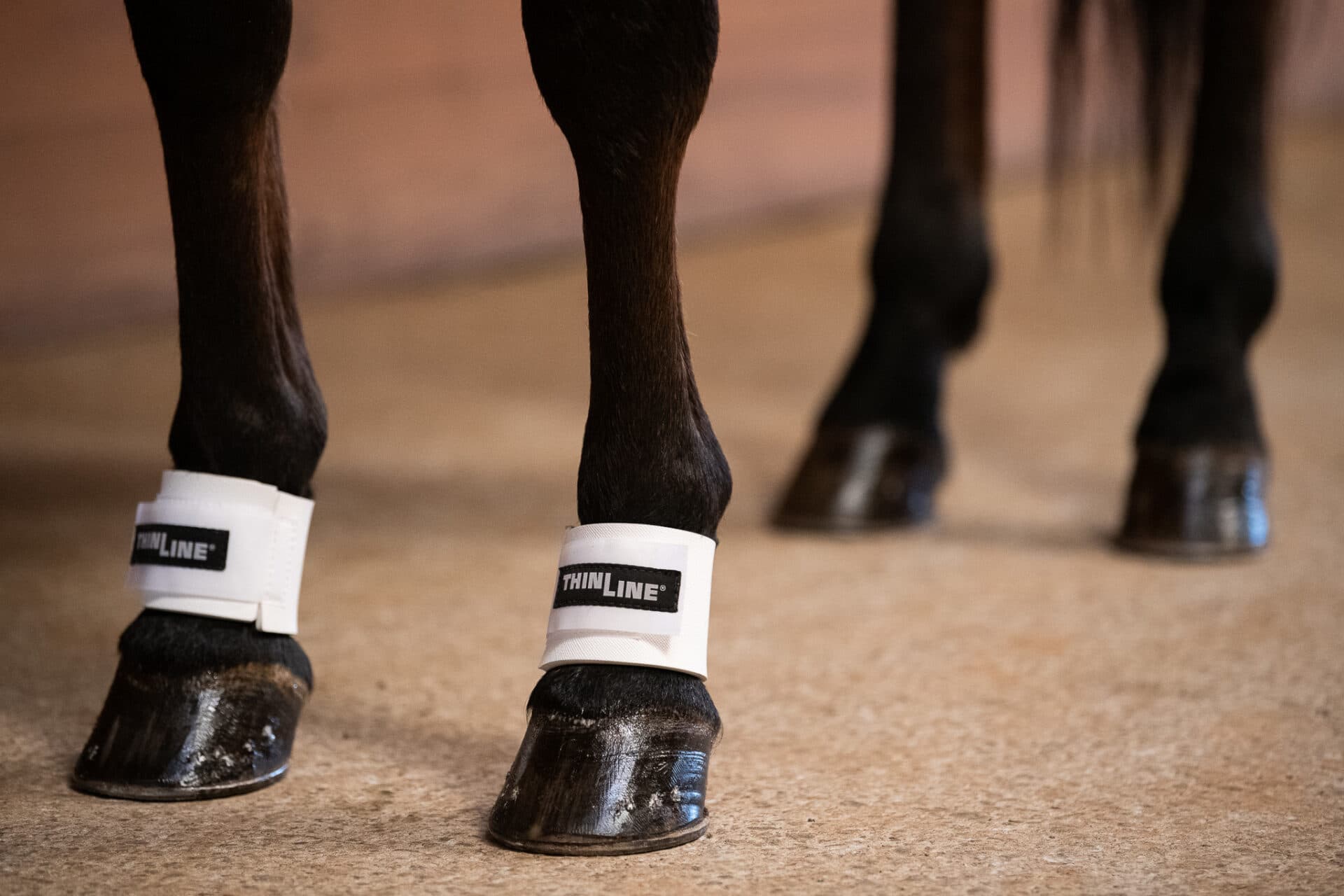 ThinLine Pastern Wraps - thumbnail 3