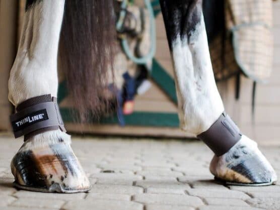 ThinLine Pastern Wraps - thumbnail 2