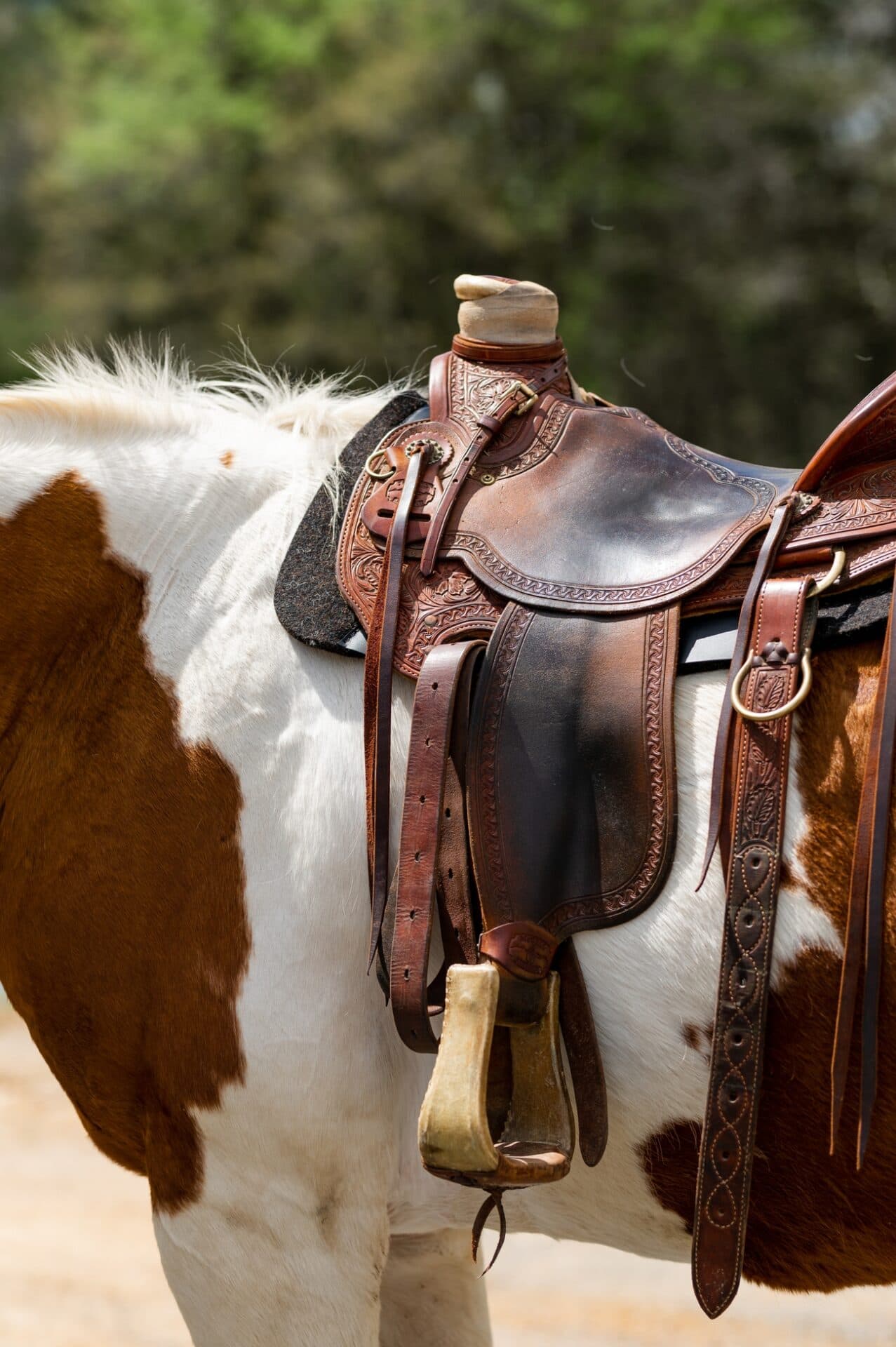 Western Pro-Tech Round Skirt Felt Saddle Pad - thumbnail 6
