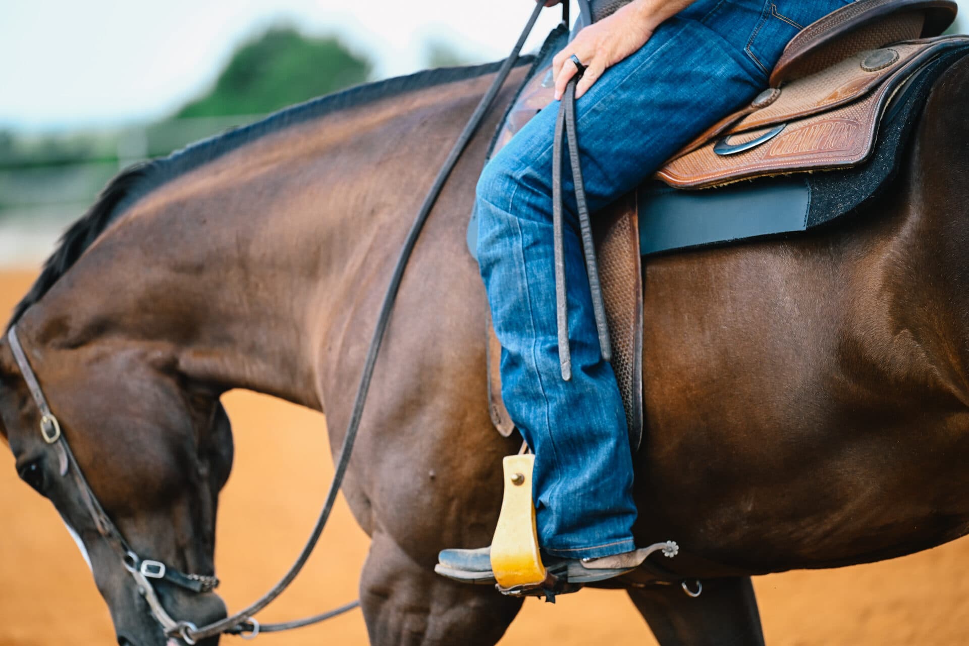 Western Pro-Tech Square Felt Saddle Pad - thumbnail 10