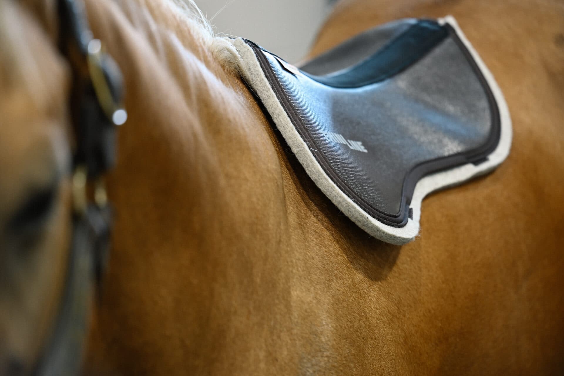 5 Star X ThinLine 1/2 Inch Natural Felt Half Pad - thumbnail 4