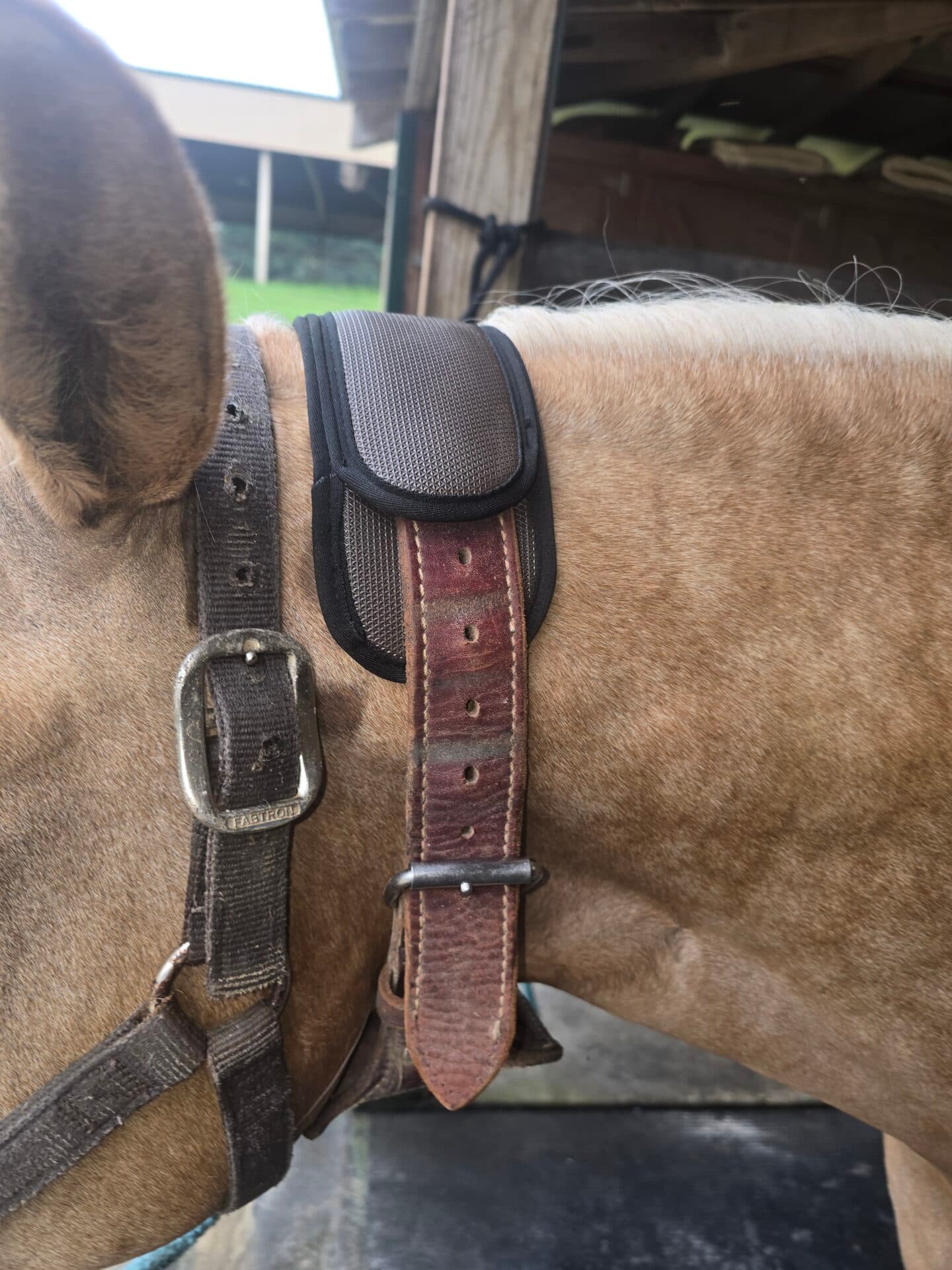Cribbing Collar Cover Padding - thumbnail 6
