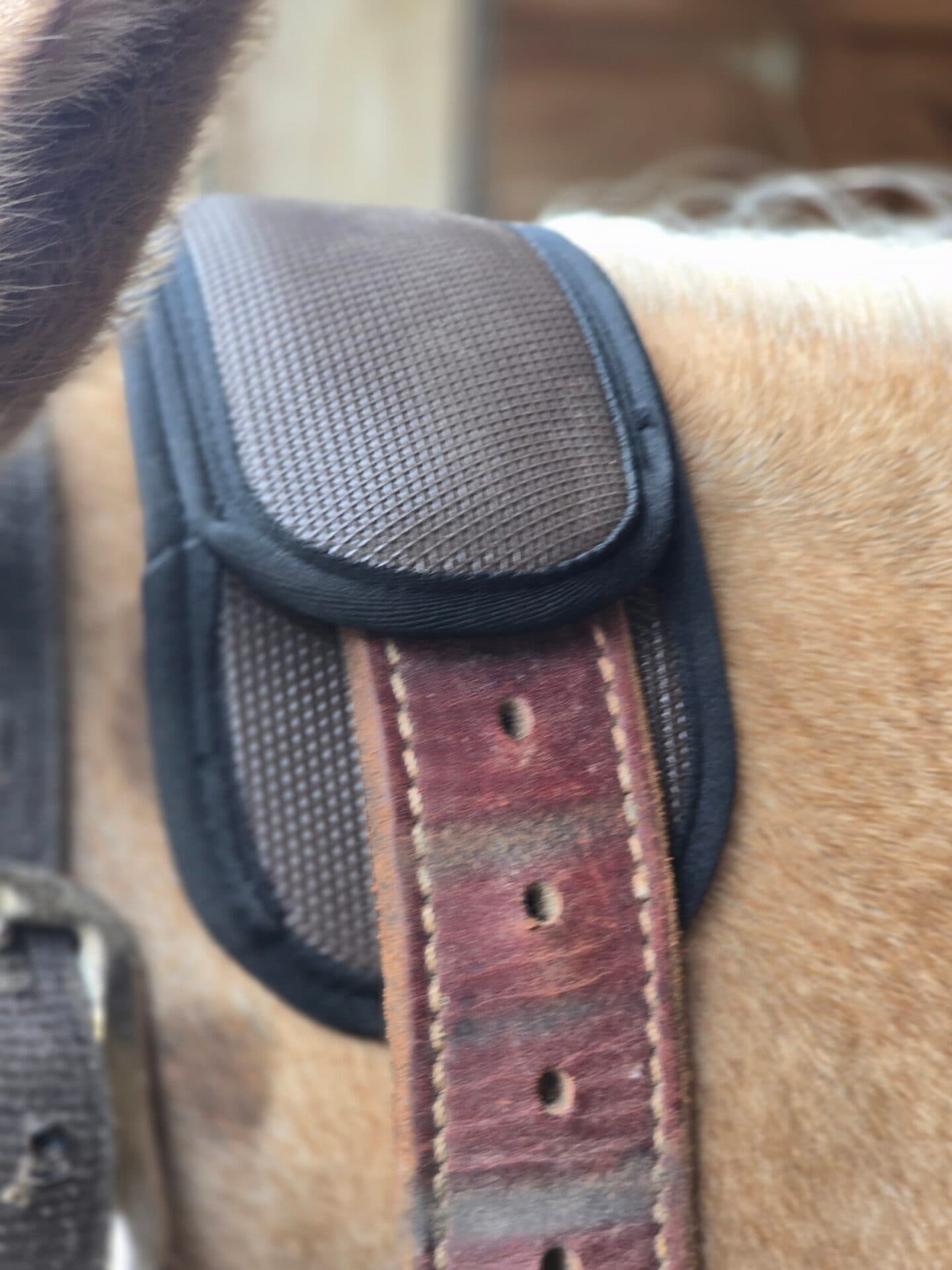 Cribbing Collar Cover Padding - thumbnail 5